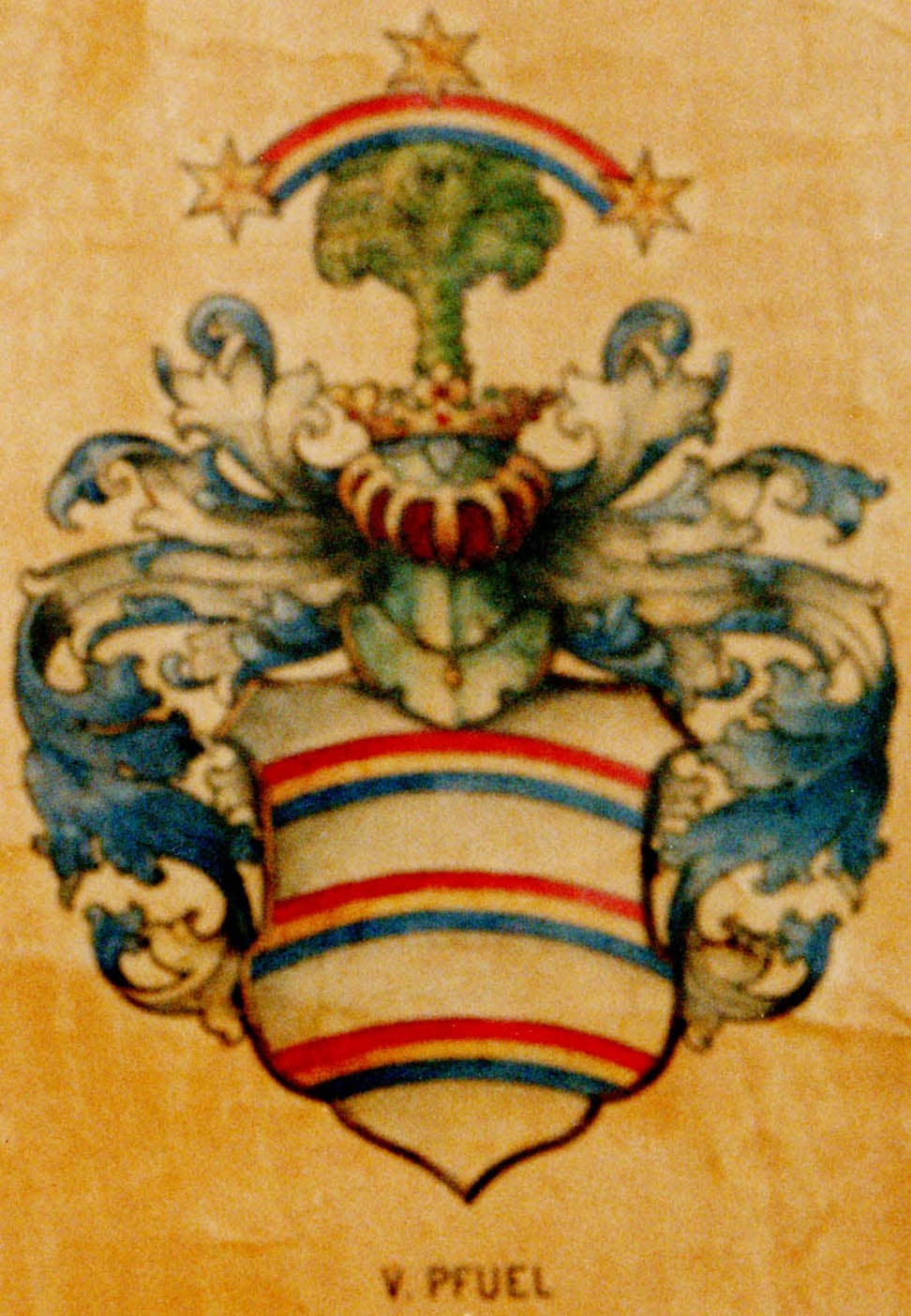 Wappen von Pfuel